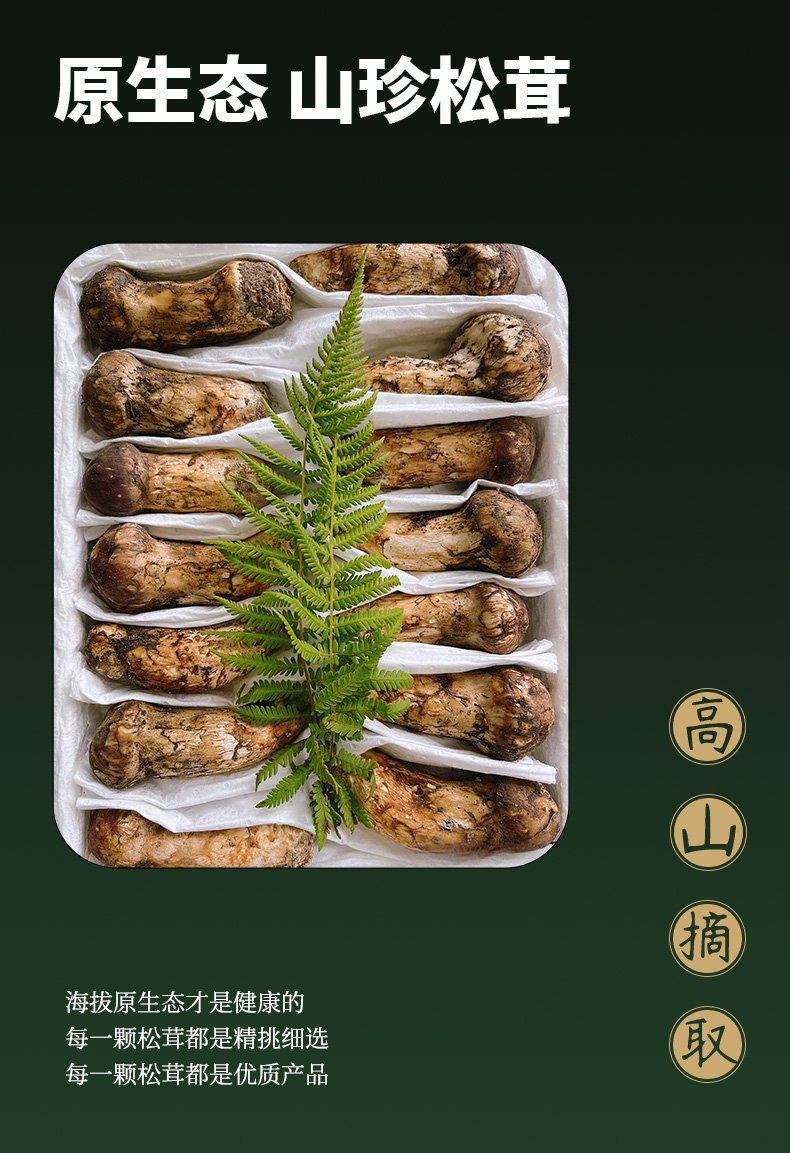松茸详情页_01.jpg