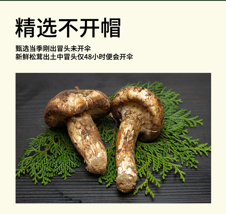 松茸详情页_02.jpg