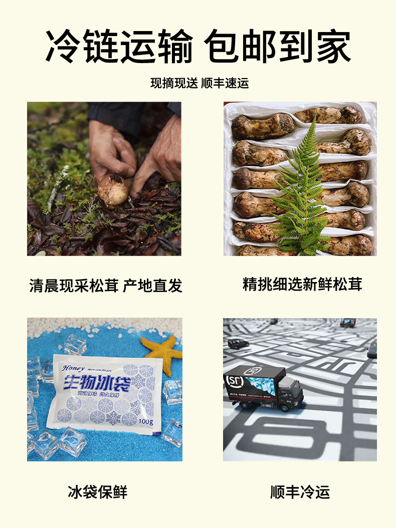 松茸详情页_04.jpg