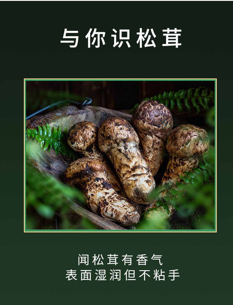 松茸详情页_07.jpg